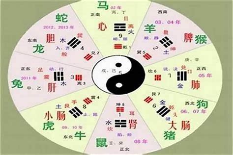 盛五行|盛的五行属什么,盛字的五行属性,盛的寓意